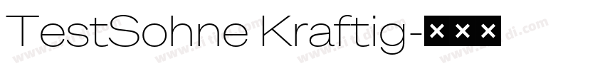 TestSohne Kraftig字体转换
